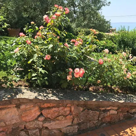 Di Garda Albisano *